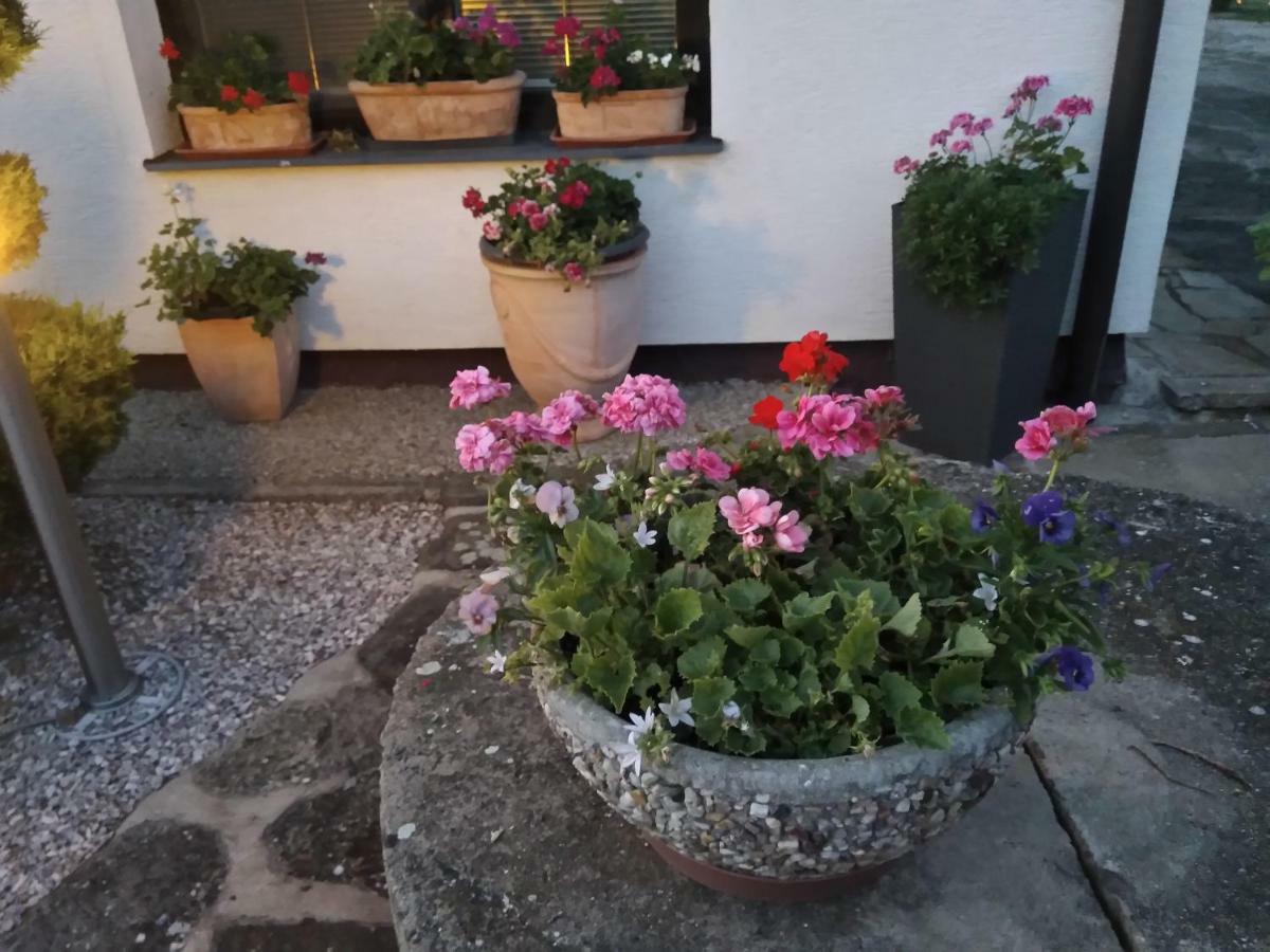 Pension Family Club Libisany Bagian luar foto