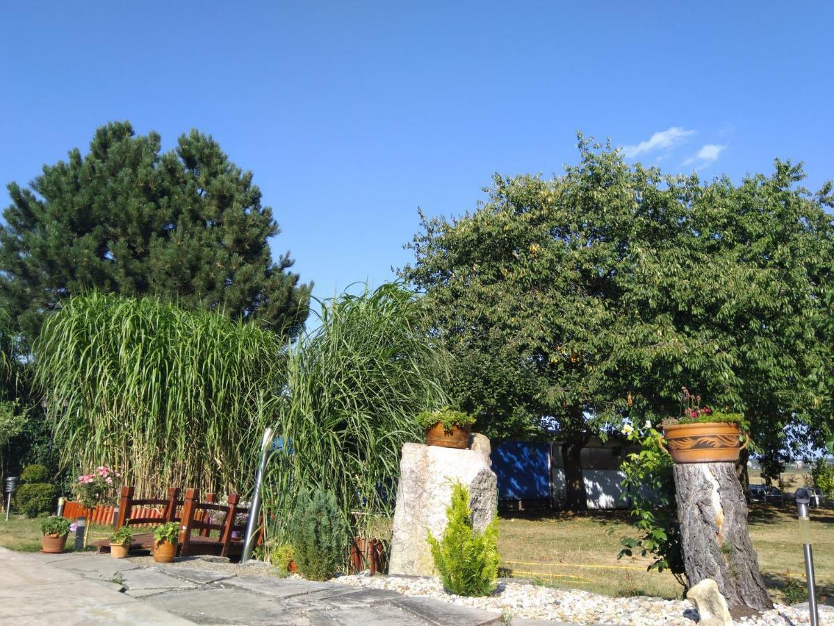 Pension Family Club Libisany Bagian luar foto